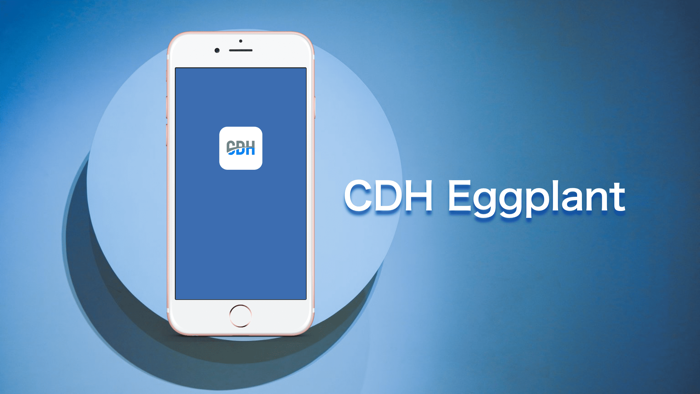 CDH Delivery Eggplant
