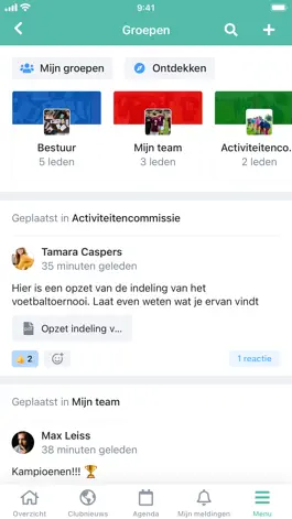 Game screenshot Rugby Nederland apk