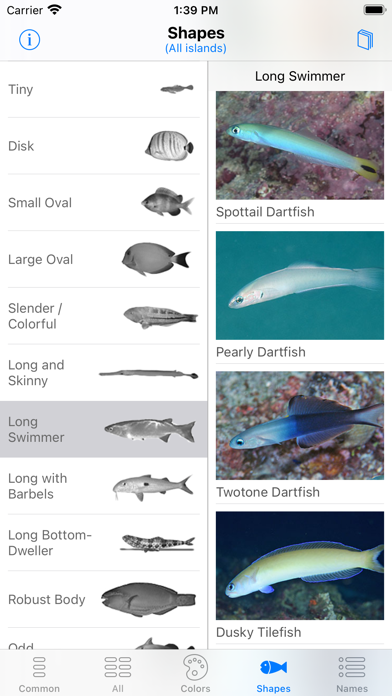 Tahiti Fish ID screenshot 7