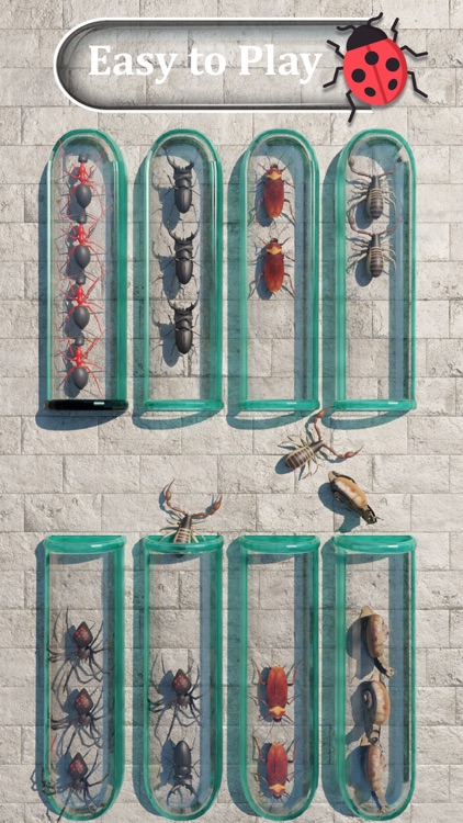 Insects Sort Puzzle Game