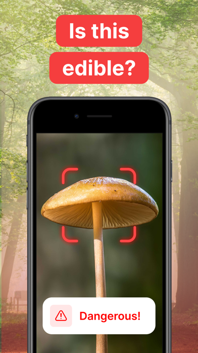 Mushroom Identification! screenshot 3