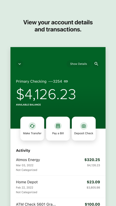 Belco Money Manager screenshot 4