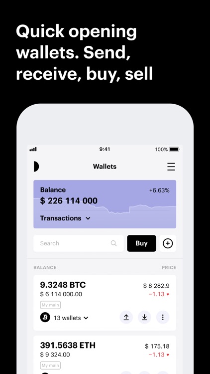 paybis wallet buy bitcoin