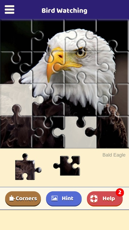 Bird Watching Puzzle