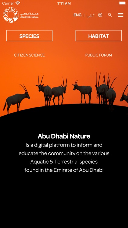 Abu Dhabi Nature