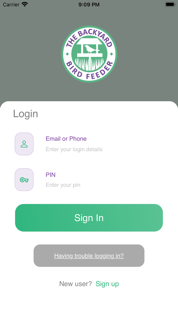 Backyard Bird Feeder