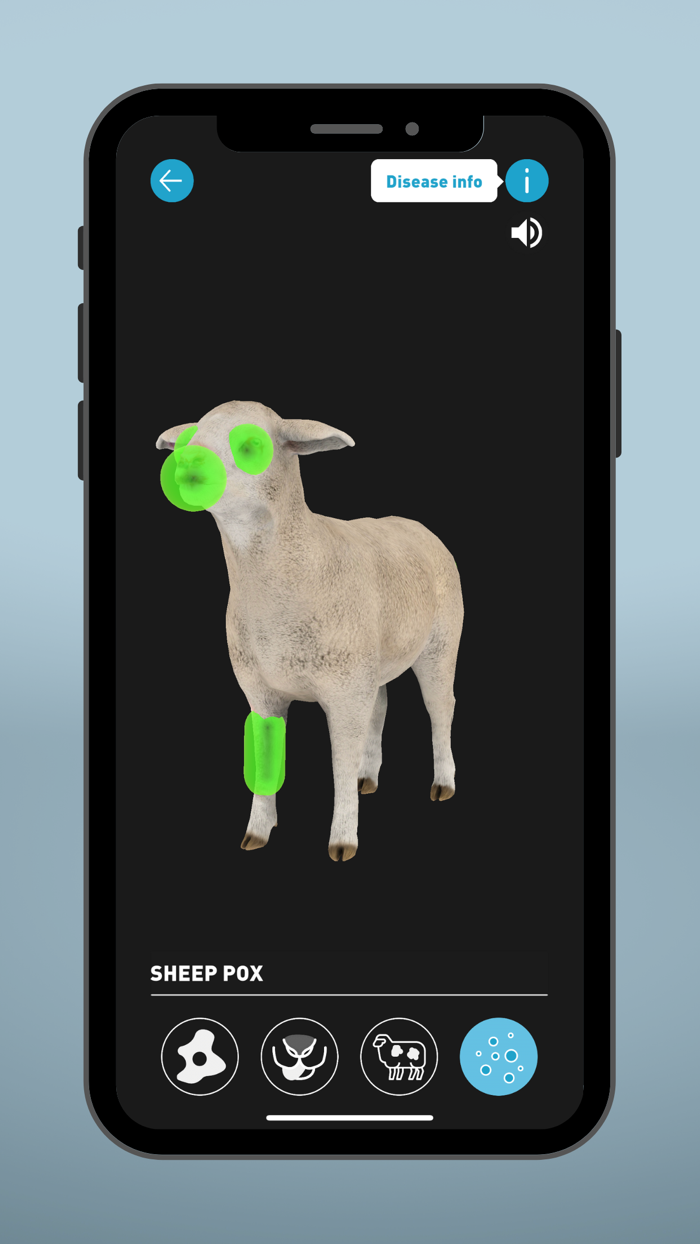Sheep EAD AR