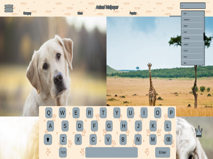 Animal Wallpapers 4K