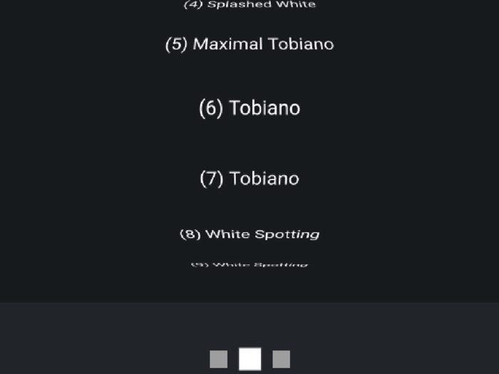 NOBLE HORSE DESIGNER