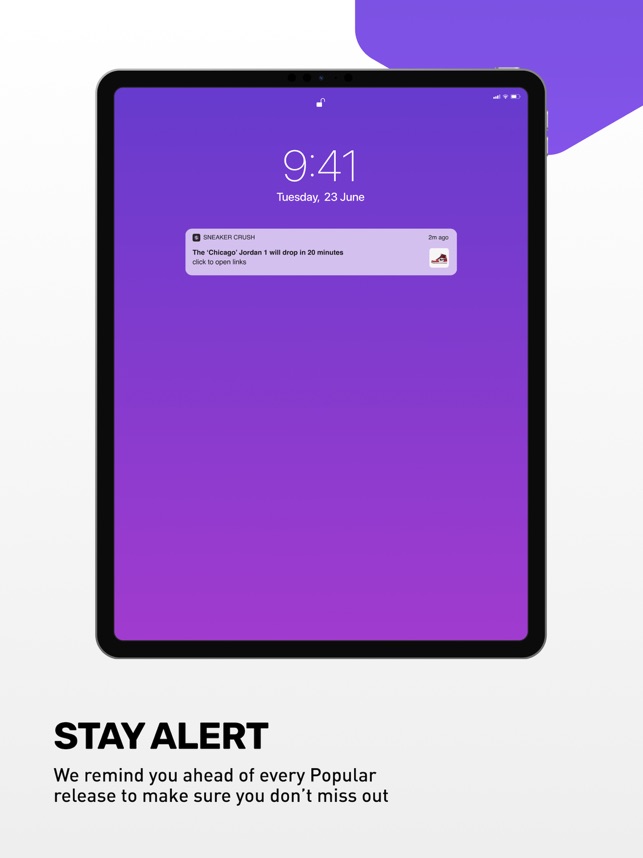 sneaker crush website