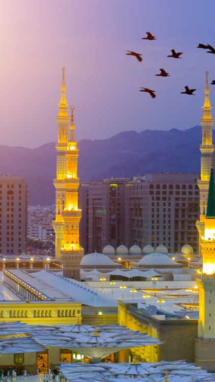 Saudi Arabia Backgrounds screenshot-3