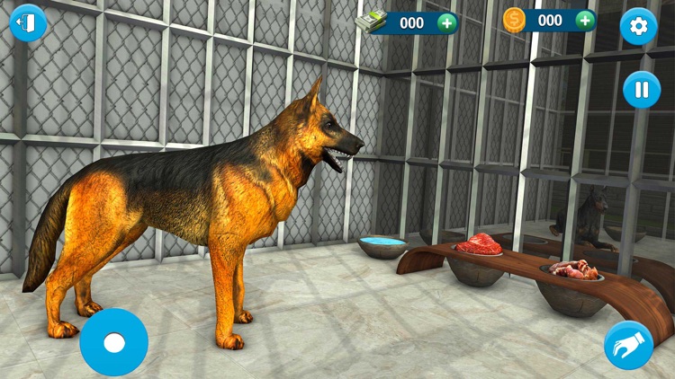 Animal Care Dog Shelter 3D screenshot-4