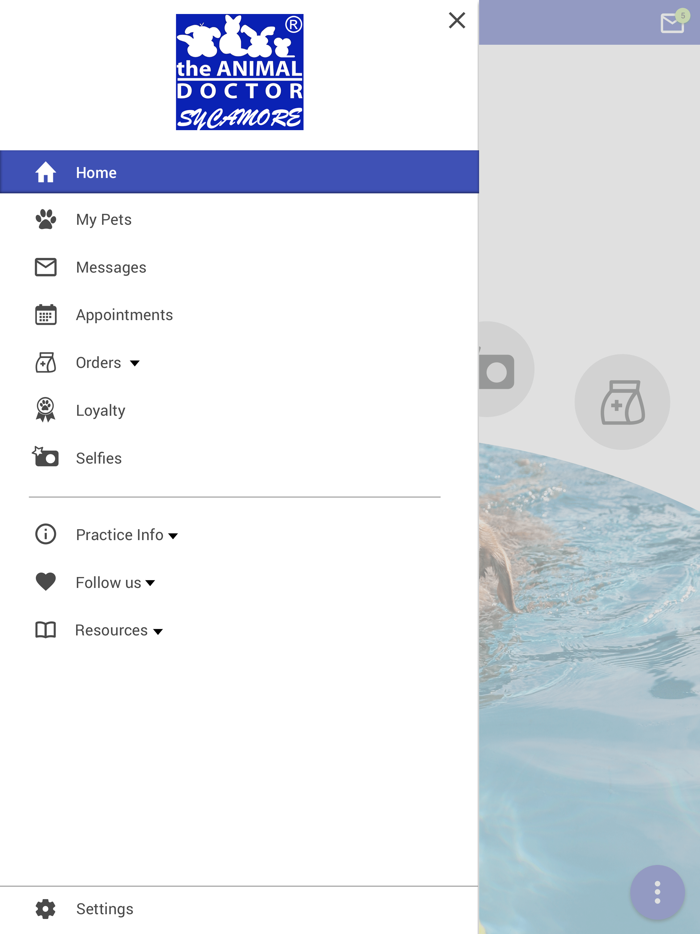 Sycamore Animal Hospital