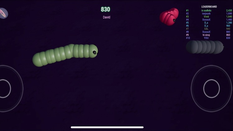 CanOfWorms - 3D Worm Slither