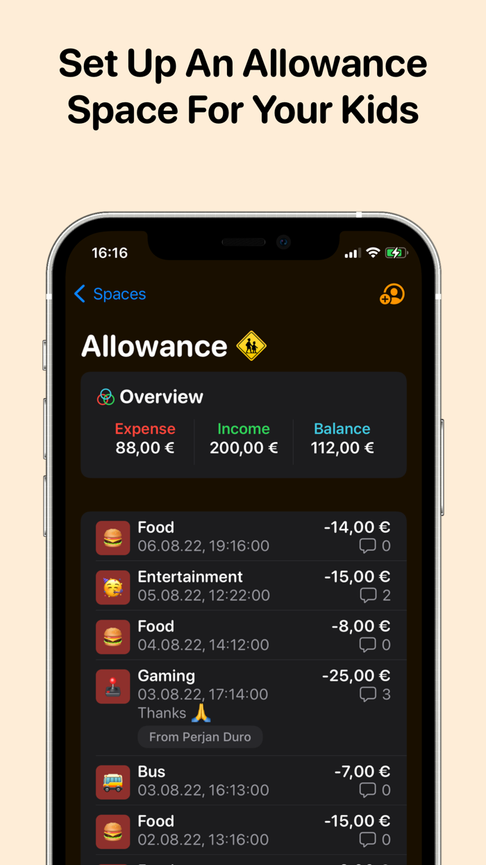 Money Spaces Family Budget