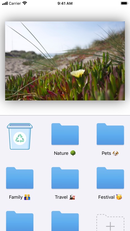 Pictize: Camera Roll Organizer