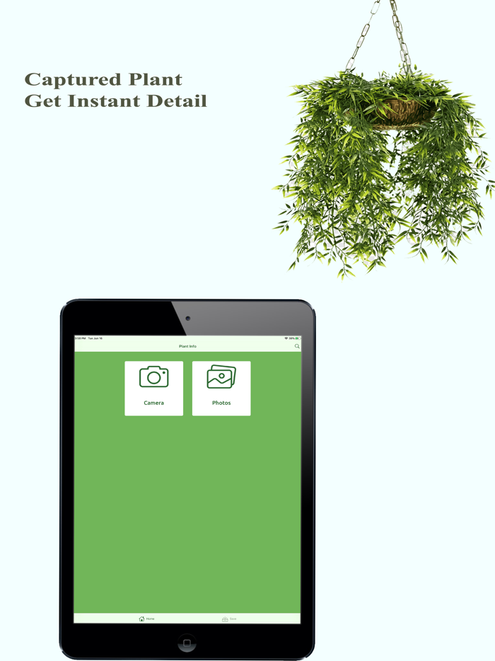 Plantidentification  info