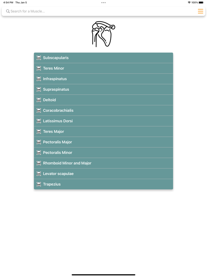 Orthopedic Limbs Anatomy
