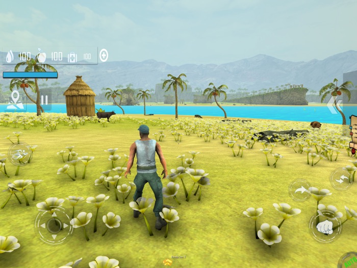 Island Survival Adventure Game
