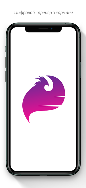 New Phoenixes App