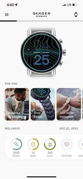 Game screenshot Skagen Smartwatches mod apk