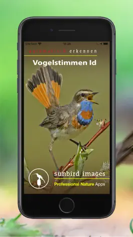 Game screenshot Vogelstimmen Id - Rufe,Gesänge mod apk