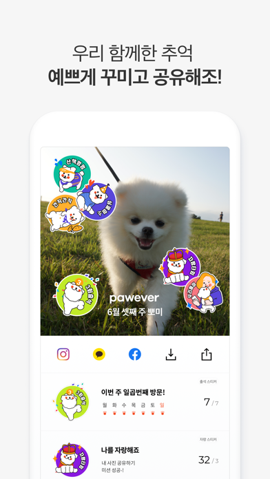 포에버 pawever - 나만의 반려견 맞춤 앨범 PC 용