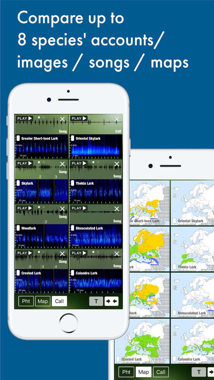 BIRD SONGS Europe North Africa