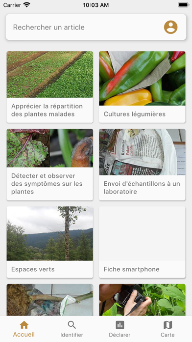 App preview