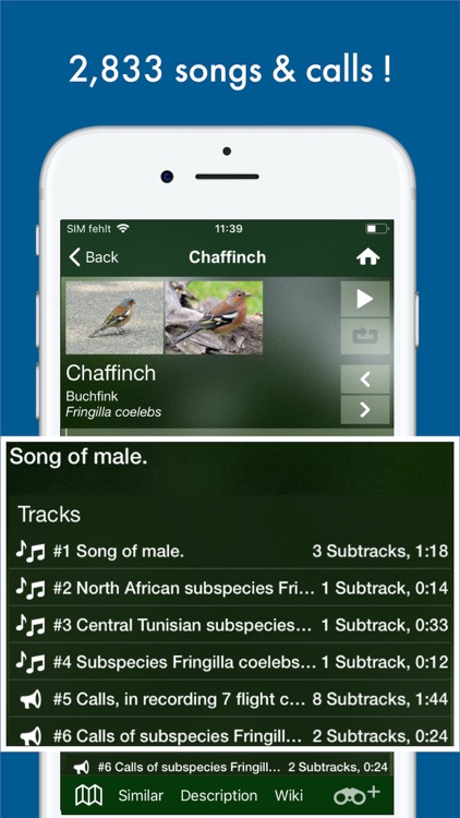 BIRD SONGS Europe North Africa screenshot-3