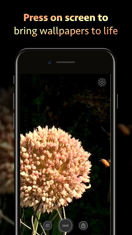 10000+ Wallpapers & Themes screenshot-5