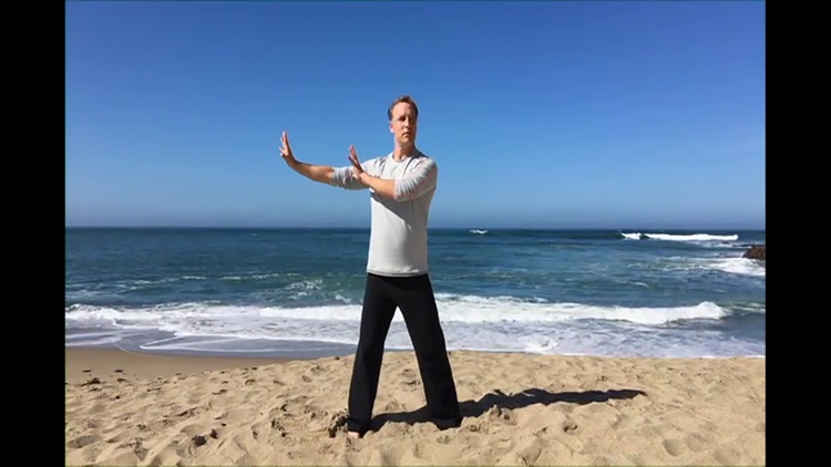 Qi Gong 30 Day Challenge screenshot-4