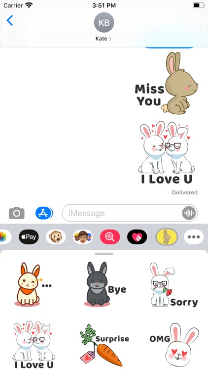 Bunny Rabbit Stickers