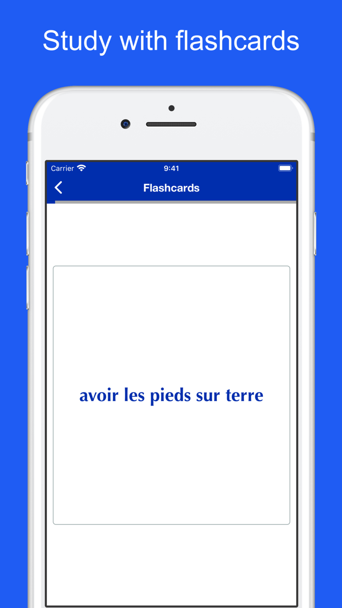 French Idiom Dictionary
