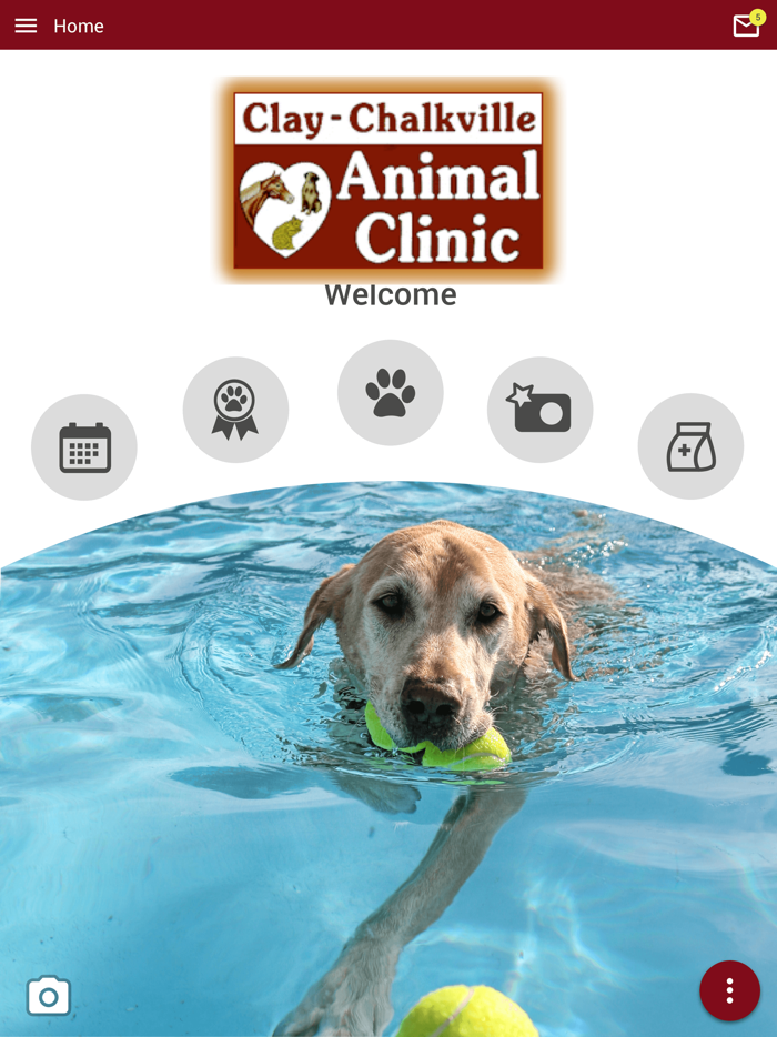 Clay Chalkville Animal Clinic