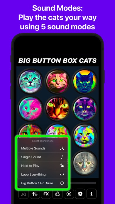 Big Button Box: Cat Sounds screenshot 4