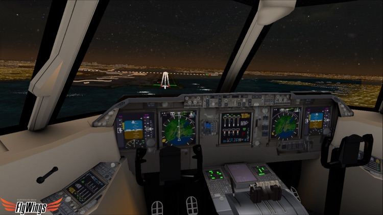Flight Simulator Night Fly