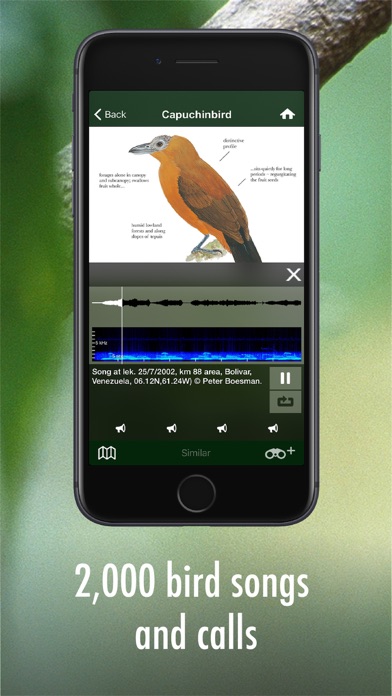 How to cancel & delete All Birds Guianas, Suriname, Guyana, French Guiana from iphone & ipad 4