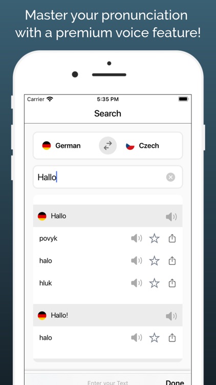 German Czech Dictionary + screenshot-3