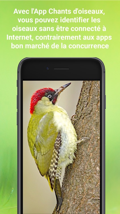 Chants d’oiseaux automatique screenshot-9