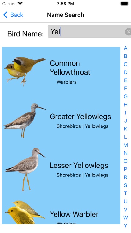 Bird Field Guide for Kids