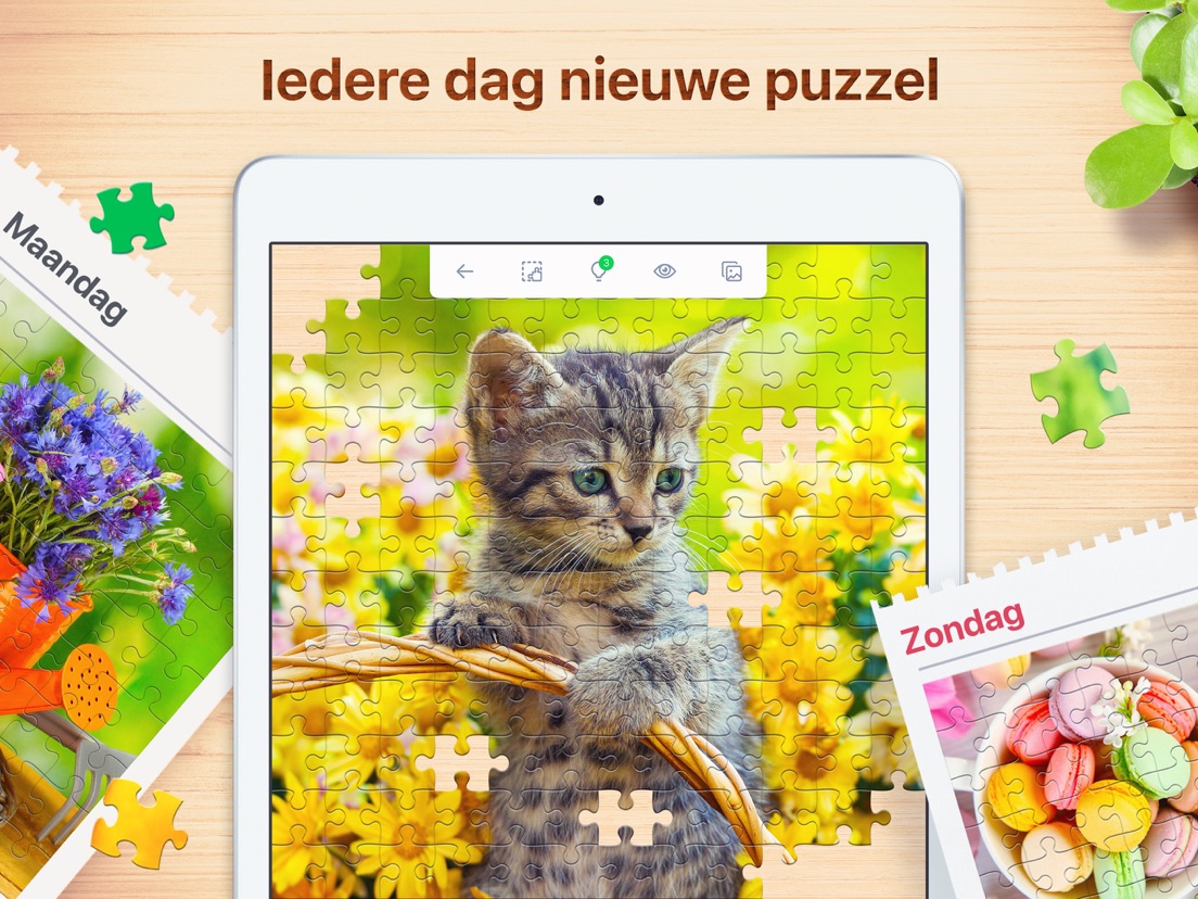 Jigsaw Puzzle: Legpuzzel iPhone, iPad en iPod touch - AppWereld