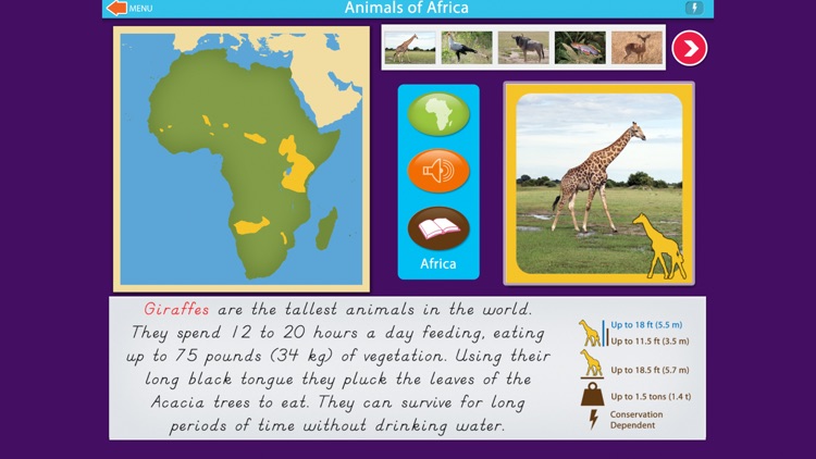Montessori Animals of Africa