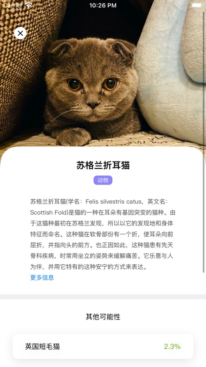 拍照识物-丰富您的认知学