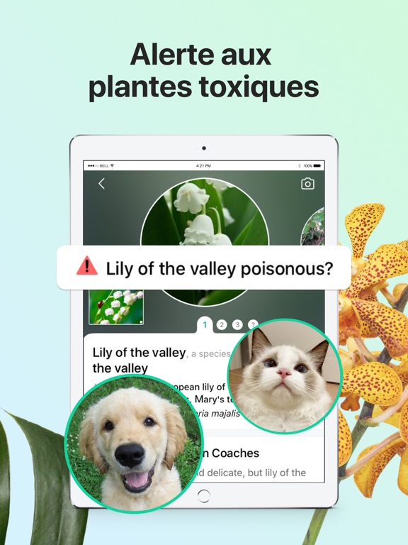 PictureThis-Identifier Plantes PictureThis-Identifier Plantes