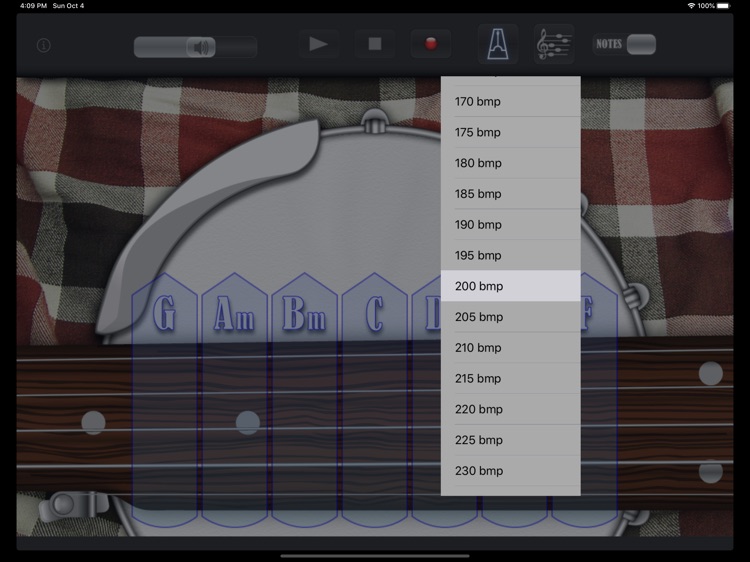 Bluegrass Banjo Professional screenshot-3