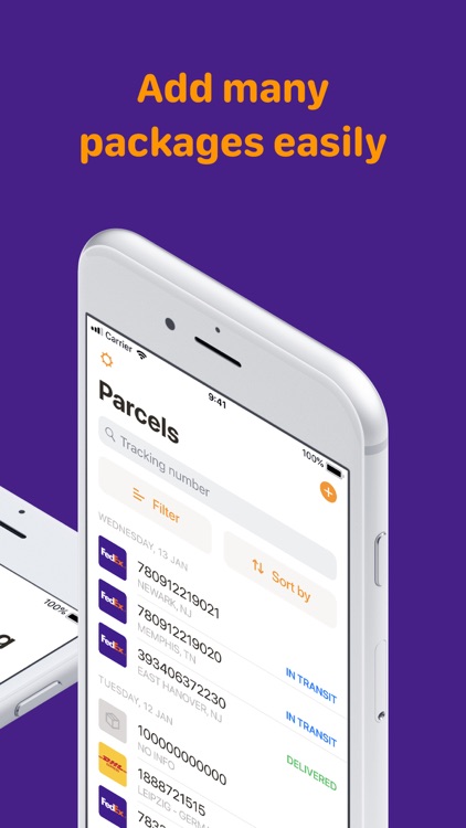 Parcelle: Tracking Packages