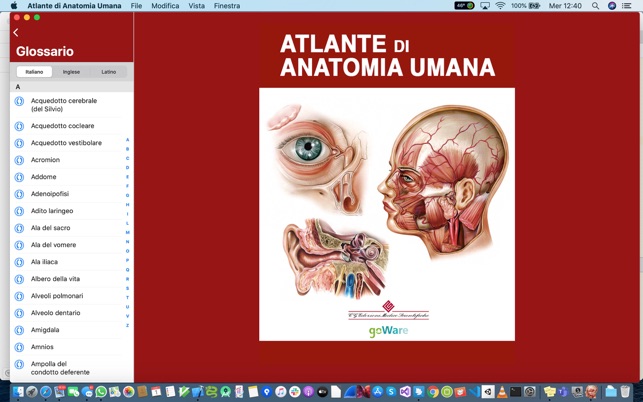 Atlante di Anatomia(圖5)-速報App