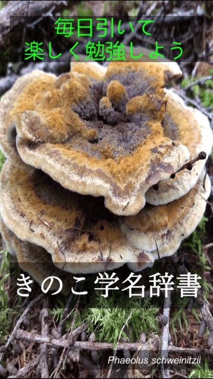 Japanese Mushroom Dictionary