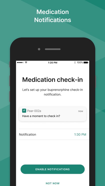 Pear-002a screenshot-3